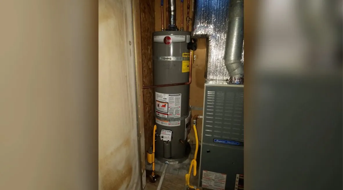 Gas water heater and furnace standing together in a narrow utility closet with wood trim