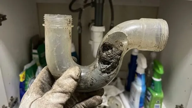 Gloved hand holding a clear plastic P-trap pulled from under a sink and packed with dark sludge