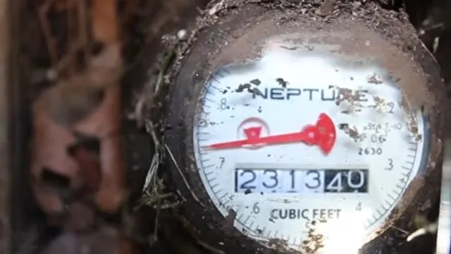 Close view of a Neptune water meter face showing numbers and a red sweep hand with leaves around the edge