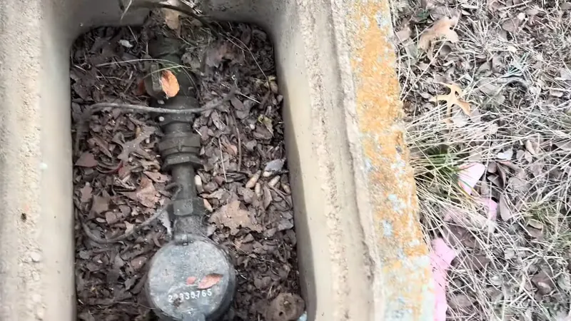 Water meter and shutoff valve inside a concrete ground box filled with dead leaves