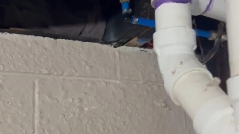 White PVC elbows and a pipe running up a cinder block wall with a blue line behind